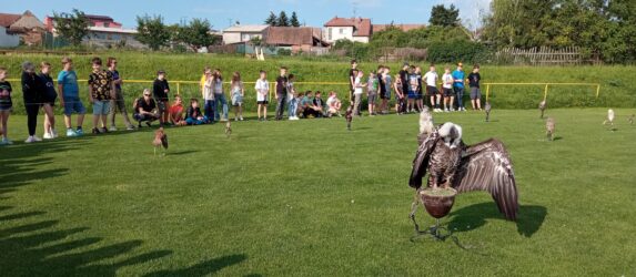 Ukázky dravců Zayferus